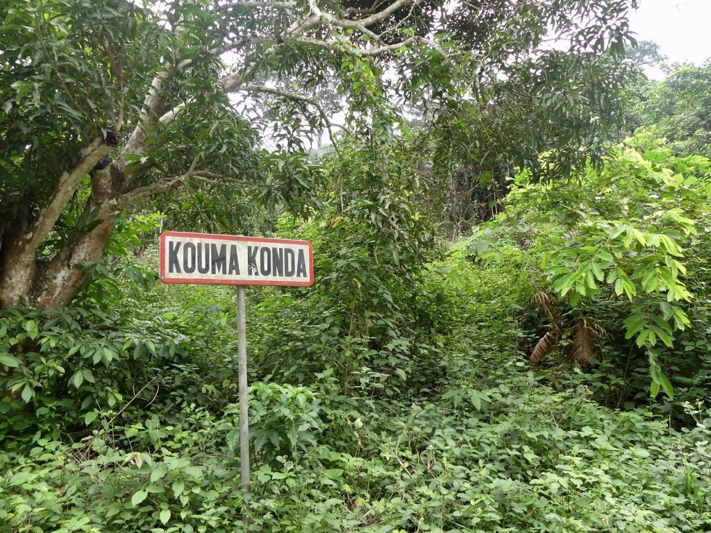 FullSizeRender (54)-min