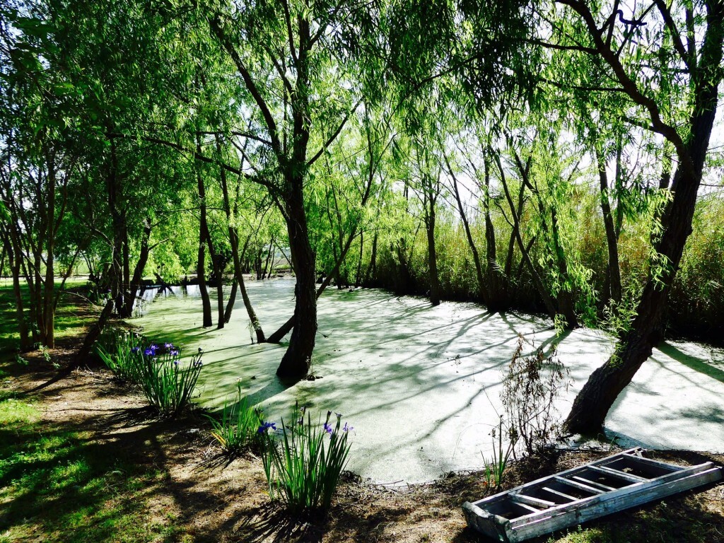 FullSizeRender-min (3)